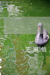 芝麻信用借唄提前還款要不要還-