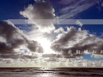 芝麻信用分逾期被扣掉了怎么恢復(fù)-芝麻信用逾期怎么處理
