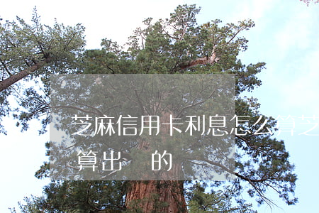 芝麻信用卡利息怎么算(芝麻信用卡利息怎么算出來的)