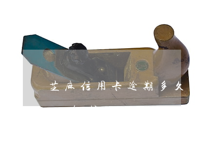 芝麻信用卡逾期多久會影響征信(芝麻逾期影響征信嗎)