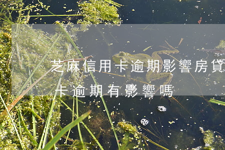 芝麻信用卡逾期影響房貸嗎(貸款買房后信用卡逾期有影響嗎?)
