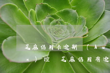 芝麻信用卡逾期會(huì)被監(jiān)控嗎(芝麻信用有逾期記錄還能申請(qǐng)信用卡嗎)