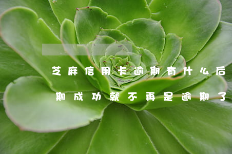 芝麻信用卡逾期有什么后果(信用芝麻修復逾期成功就不再是逾期了嗎)