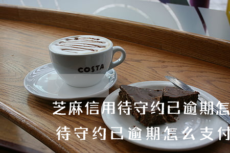 芝麻信用待守约已逾期怎么支付-芝麻信用待守约已逾期怎么支付不了
