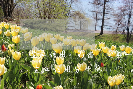 芝麻信用極好借唄逾期一次(借唄逾期會影響芝麻信用分降低嗎?)