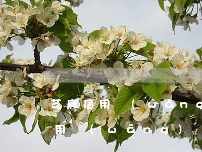 芝麻信用網(wǎng)貸逾期記錄(芝麻信用網(wǎng)貸逾期記錄可以刪掉么?)