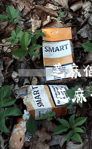 芝麻信用逾期一年還會(huì)被起訴嗎(芝麻信用逾期了100多天,還可以貸款嗎)