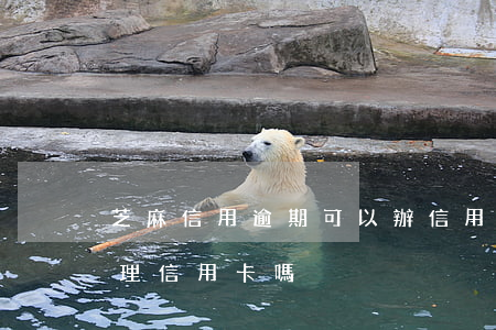 芝麻信用逾期可以辦信用卡嗎(芝麻信用能辦理信用卡嗎)