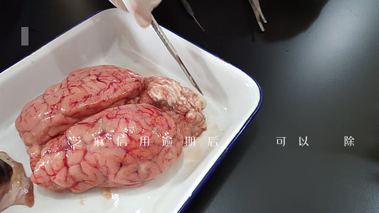 芝麻信用逾期后記錄可以刪除嗎-