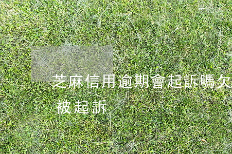 芝麻信用逾期會起訴嗎(欠信用卡逾期多久會被起訴)
