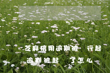 芝麻信用逾期被銀行起訴怎么辦-信用貸款逾期被起訴了怎么辦