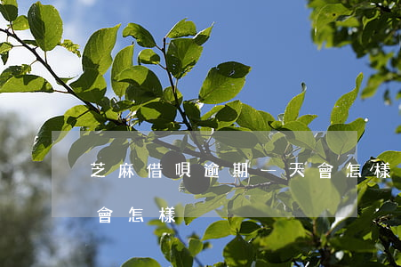 芝麻借唄逾期一天會怎樣(芝麻借唄逾期一天會怎樣)