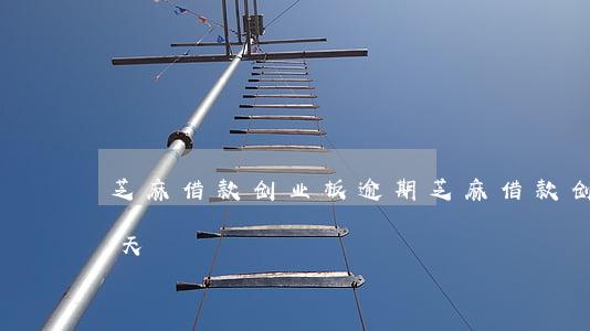芝麻借款创业板逾期(芝麻借款创业板逾期几天)