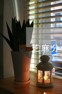 芝麻分借唄提前還款影響征信嗎-
