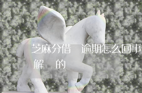 芝麻分借唄逾期怎么回事(借唄逾期都是怎么解決的)