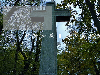 芝麻分缺錢么逾期(芝麻逾期什么意思)