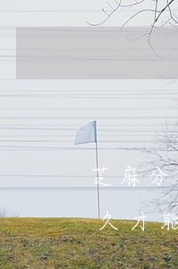 芝麻分逾期了怎么還款(支付寶逾期還款后多久才能恢復(fù)芝麻信用分)