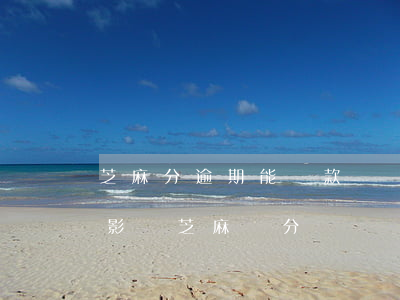 芝麻分逾期能貸款嗎(網(wǎng)貸逾期影響芝麻積分嗎)