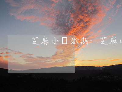 芝麻小錢逾期-芝麻小錢逾期了怎么還
