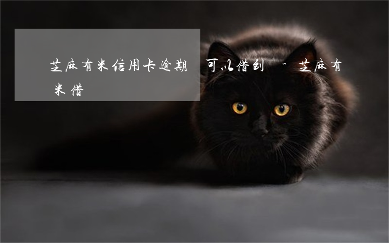芝麻有米信用卡逾期還可以借到嗎-芝麻有米借貸
