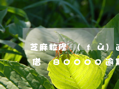 芝麻粒修復(fù)逾期記錄有什么作用-借唄80000逾期2年親身經(jīng)歷