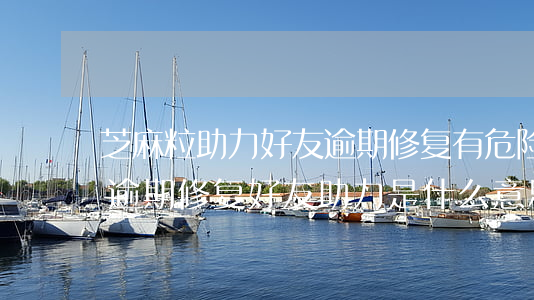 芝麻粒助力好友逾期修复有危险吗-芝麻粒逾期修复好友助力是什么意思