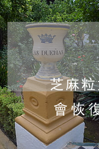 芝麻粒如何修復借唄逾期(芝麻分修復后,借唄會恢復嗎)