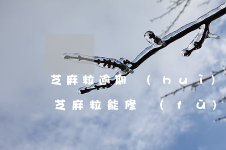 芝麻粒逾期會(huì)影響到以后的卡嘛 芝麻粒能修復(fù)逾期嗎