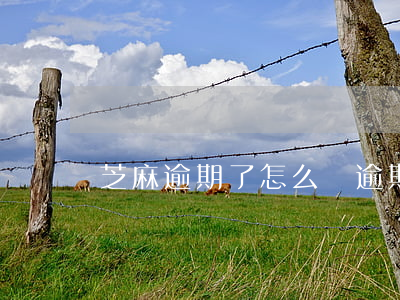 芝麻逾期了怎么辦（逾期多久影響芝麻信用卡）