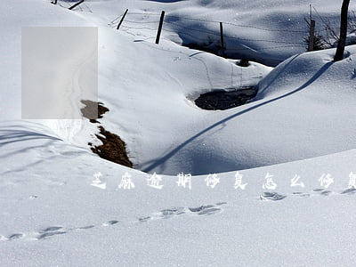 芝麻逾期修复怎么修复