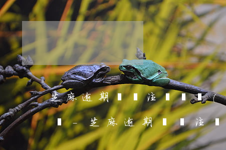 芝麻逾期記錄注銷賬號(hào)可以消除嗎-芝麻逾期記錄注銷賬號(hào)可以消除嗎安全嗎
