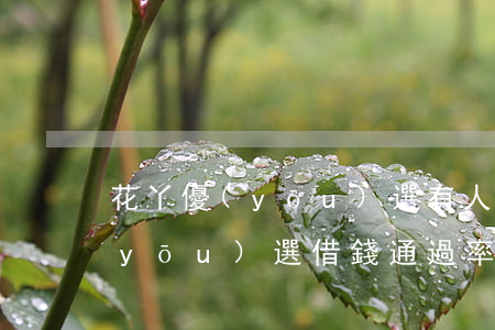 花丫優(yōu)選有人貸過嗎-花丫優(yōu)選借錢通過率高嗎
