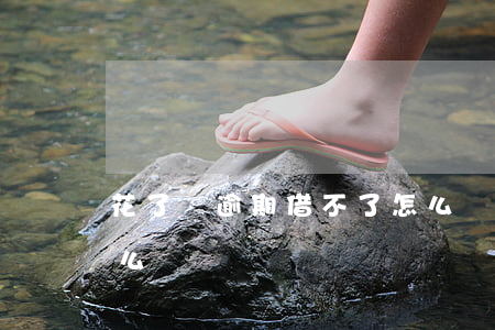 花了唄逾期借不了怎么辦(花唄借款還不了怎么辦)