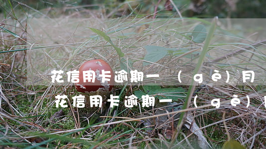 花信用卡逾期一個(gè)月還了怎么還-花信用卡逾期一個(gè)月還了怎么還