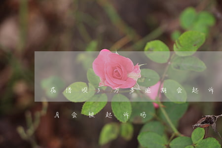 花借呗3万多逾期会起诉（花呗借呗逾期三个月会被起诉吗）