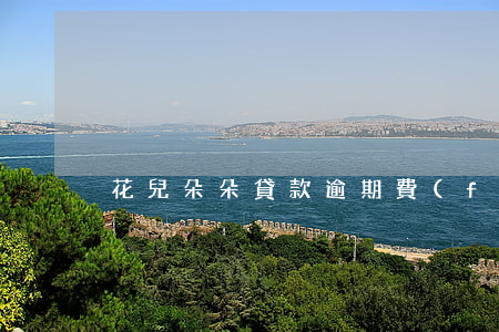 花兒朵朵貸款逾期費(fèi)用