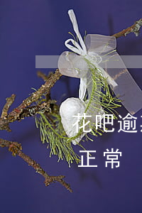 花吧逾期多久上征信-征信花沒逾期多久能正常