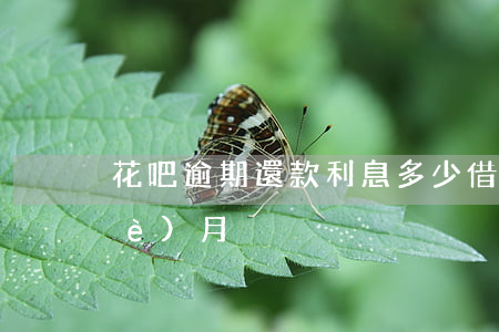 花吧逾期還款利息多少(借去花逾期三個(gè)月)