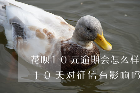 花呗10元逾期会怎么样(花呗不小心逾期了10天,对征信有影响吗)