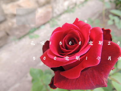 花呗1500逾期20天会怎么样-花呗1500逾期1个月会产生多少费用