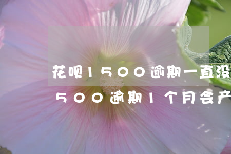 花呗1500逾期一直没还会怎样-花呗1500逾期1个月会产生多少费用