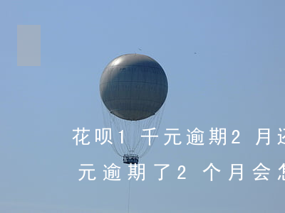 花呗1千元逾期2月还多少(花呗有2000元逾期了2个月会怎么样)