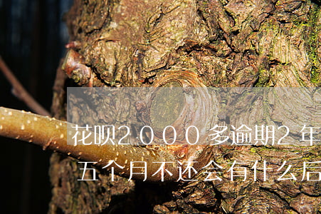 花呗2000多逾期2年(花呗2000逾期五个月不还会有什么后果)