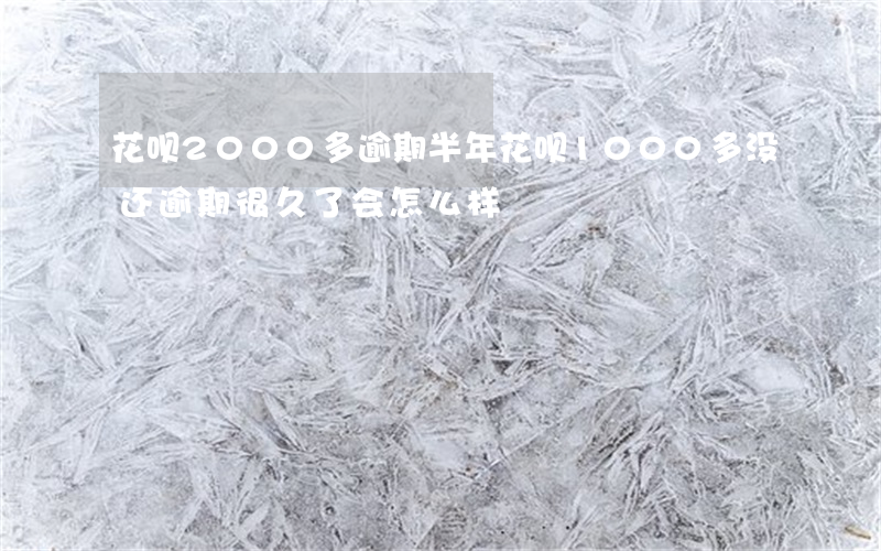 花呗2000多逾期半年(花呗1000多没还逾期很久了会怎么样?)