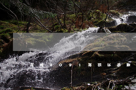 花呗2021年可以逾期多少天-