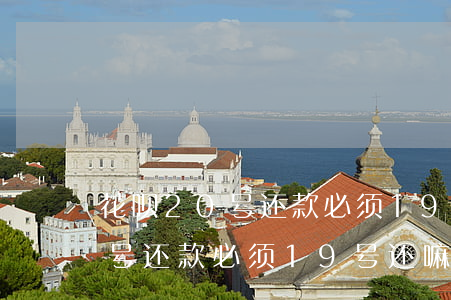 花呗20号还款必须19号还嘛-花呗20号还款必须19号还嘛
