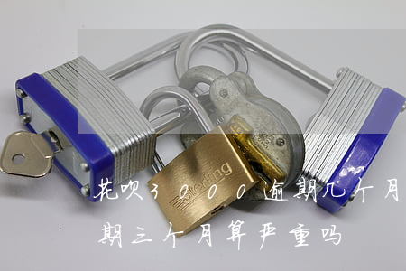花呗3000逾期几个月(花呗欠款三千多,逾期三个月,算严重吗?)