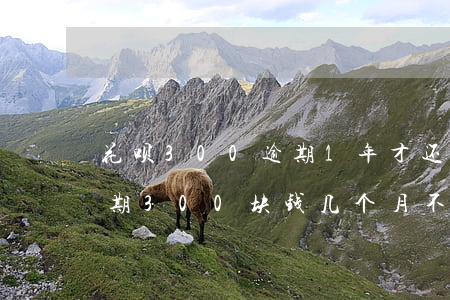 花呗300逾期1年才还的严重么-花呗逾期300块钱几个月不还严不严重