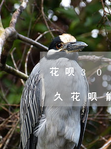 花呗300逾期三年 花呗逾期三年多结清多久花呗能打开?