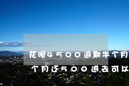 花呗4500逾期半个月(花呗逾期半年了每个月还500进去可以吗)